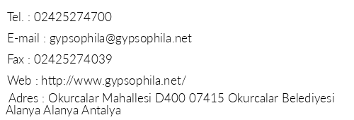 Gypsophila Holiday Village telefon numaralar, faks, e-mail, posta adresi ve iletiim bilgileri